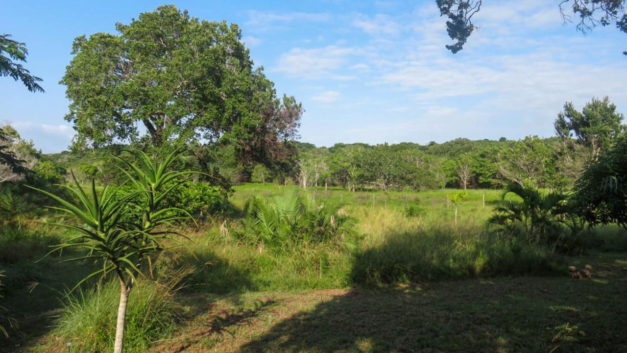 Lodge Umusa KwaMazambane Exteriör bild