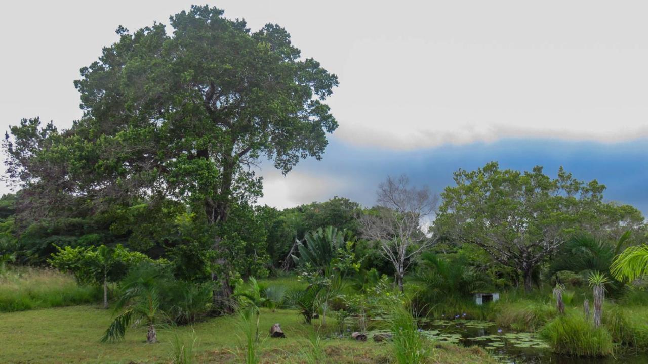 Lodge Umusa KwaMazambane Exteriör bild