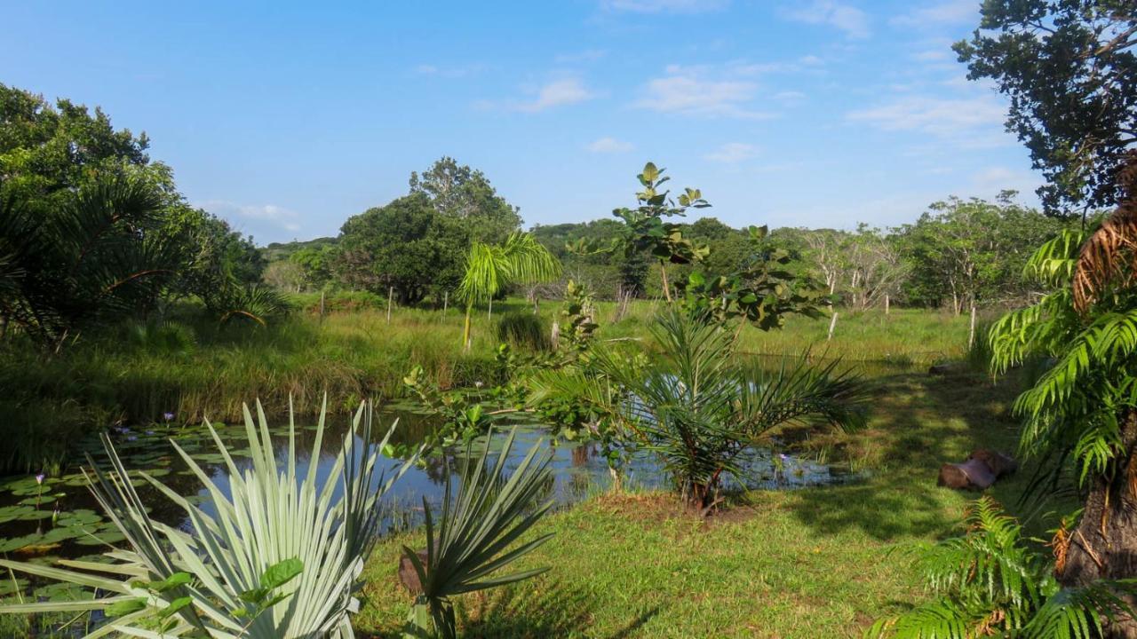 Lodge Umusa KwaMazambane Exteriör bild