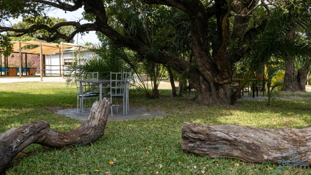 Lodge Umusa KwaMazambane Exteriör bild